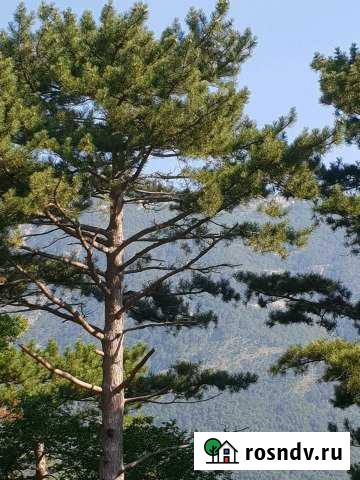 Участок ИЖС 12 сот. на продажу в Шебекино Шебекино - изображение 1