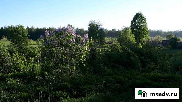 Дача 20 м² на участке 15 сот. на продажу в Кохме Кохма - изображение 1