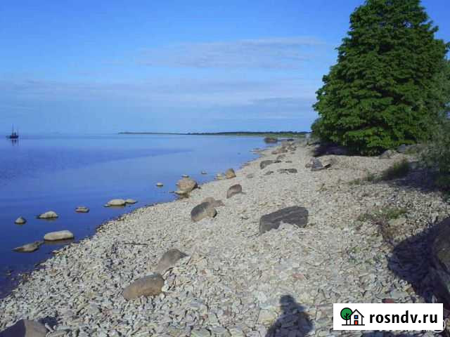 Участок ИЖС 20 сот. на продажу в Шимске Шимск - изображение 1