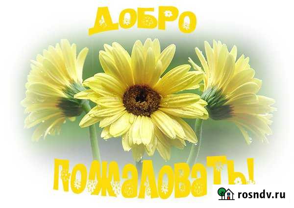 Дом 50 м² на участке 100 сот. в аренду на длительный срок в Неме Нема - изображение 1