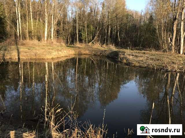 Участок ИЖС 50 сот. на продажу в Шаховской Шаховская - изображение 1