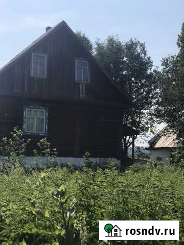 Дом 45.6 м² на участке 30 сот. на продажу в Чистогорском Чистогорский - изображение 1