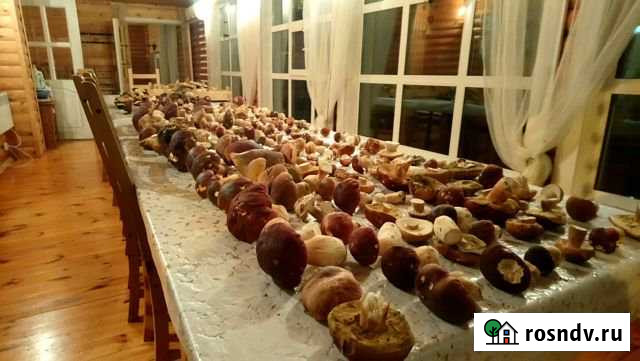 Коттедж 400 м² на участке 100 сот. в аренду посуточно в Городце Городец - изображение 1