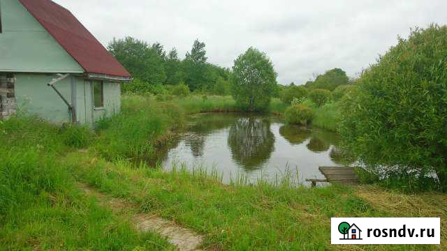 Дом 48 м² на участке 25.8 сот. на продажу в Чудово Чудово - изображение 1