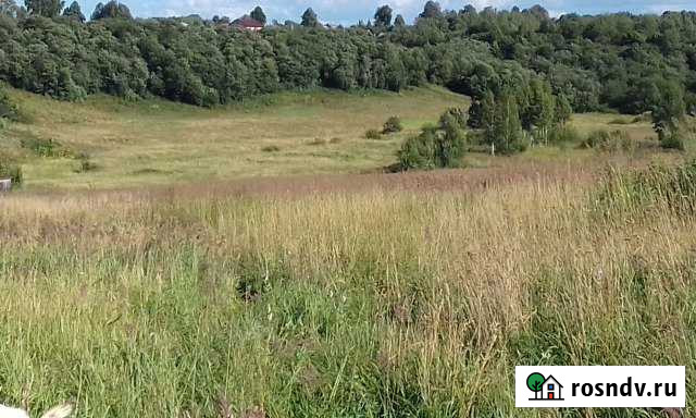 Участок СНТ, ДНП 650 сот. на продажу в Богородском Московской области Богородское - изображение 1