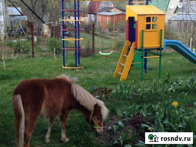 Дача 80 м² на участке 6 сот. на продажу в Уваровке Уваровка - изображение 1