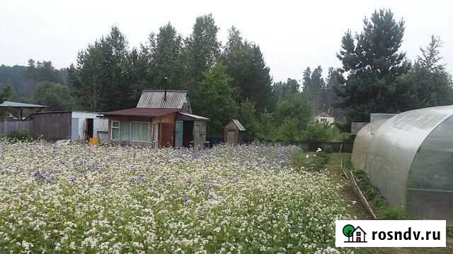 Дача 20 м² на участке 10 сот. на продажу в Маркове Маркова - изображение 1