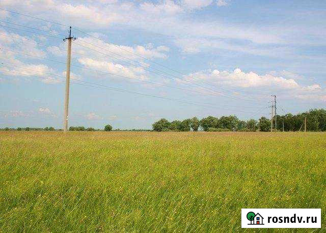 Участок СНТ, ДНП 50 сот. на продажу в Тамани Тамань - изображение 1