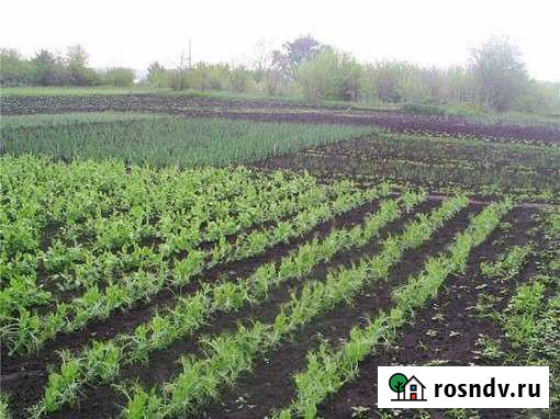 Участок ИЖС 8 сот. на продажу в Путевке Путевка - изображение 1