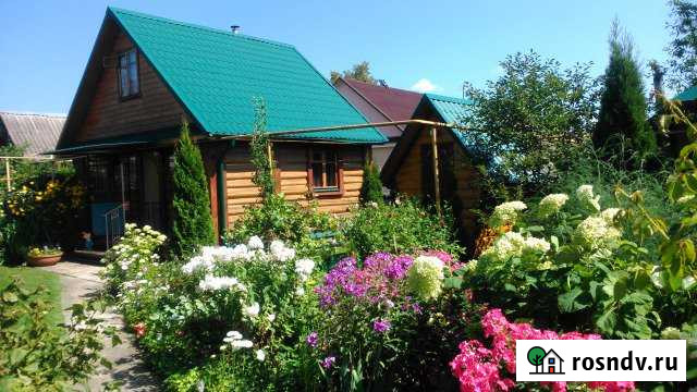 Дом 50 м² на участке 7 сот. в аренду посуточно в Переславле-Залесском Переславль-Залесский - изображение 1