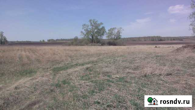 Участок ИЖС 50 сот. на продажу в Еланском Еланский - изображение 1