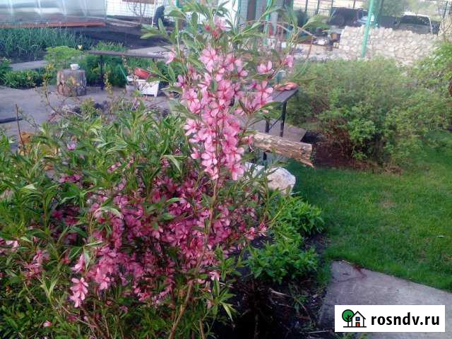 Дача 100 м² на участке 10 сот. на продажу в Новоселках Новоселки - изображение 1