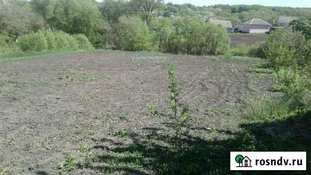 Дом 60 м² на участке 40 сот. на продажу в Вейделевке Вейделевка - изображение 1