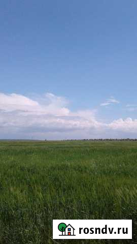 Участок ИЖС 200 сот. на продажу в Витязево Витязево - изображение 1