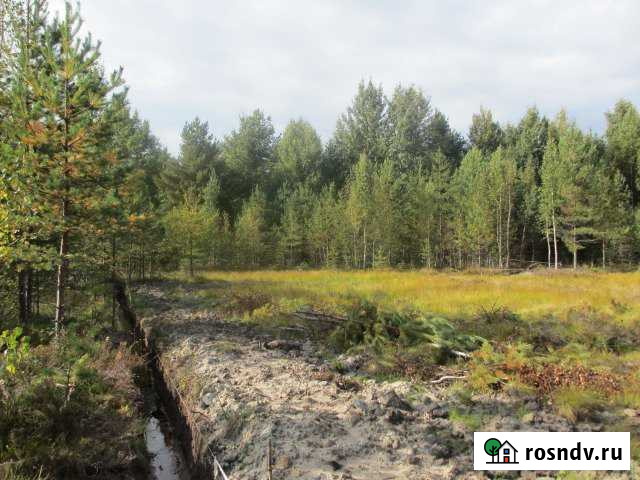 Участок СНТ, ДНП 10 сот. на продажу в Большой Ижоре Большая Ижора - изображение 1