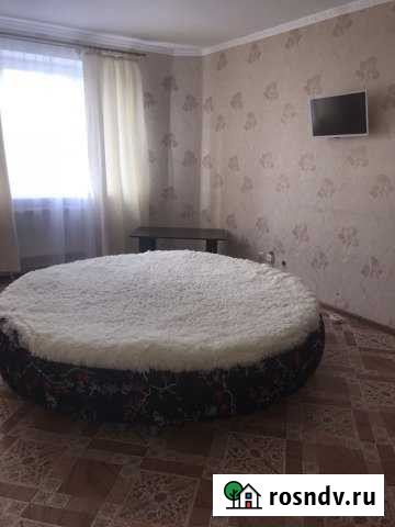 2-комнатная квартира, 74 м², 9/9 эт. в аренду посуточно в Чебоксарах Чебоксары - изображение 1