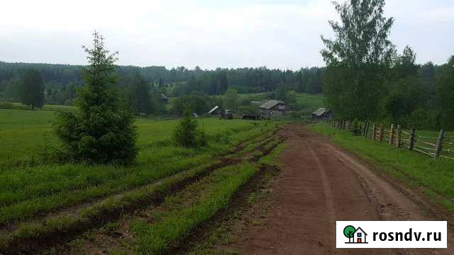 Участок СНТ, ДНП 1000 сот. на продажу в Ильинском Пермского края Ильинский - изображение 1