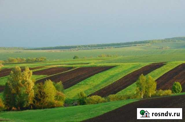 Участок СНТ, ДНП 260000 сот. на продажу в Северской Северская - изображение 1