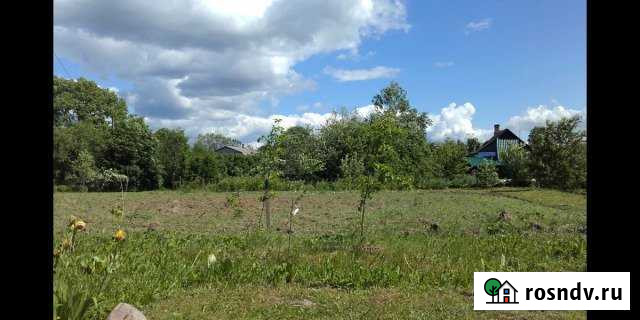 Участок ИЖС 20 сот. на продажу на Лугах Луга - изображение 1