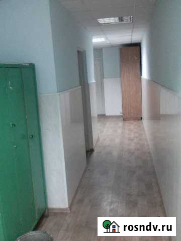 Своб. планировка, 60 кв.м., 1/5 эт. Чернушка - изображение 1