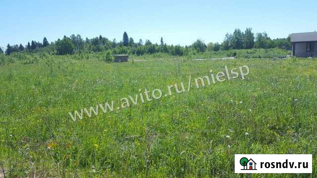 Участок СНТ, ДНП 10 сот. на продажу в Реммаше Реммаш - изображение 1