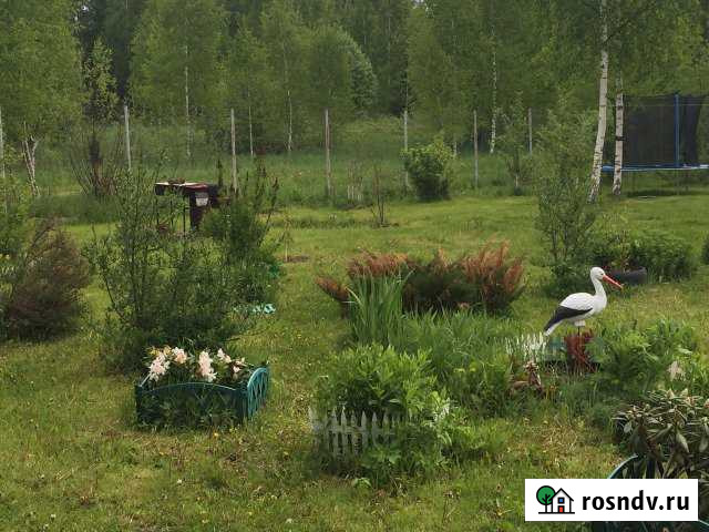 Участок СНТ, ДНП 12 сот. на продажу в Шаховской Шаховская - изображение 1