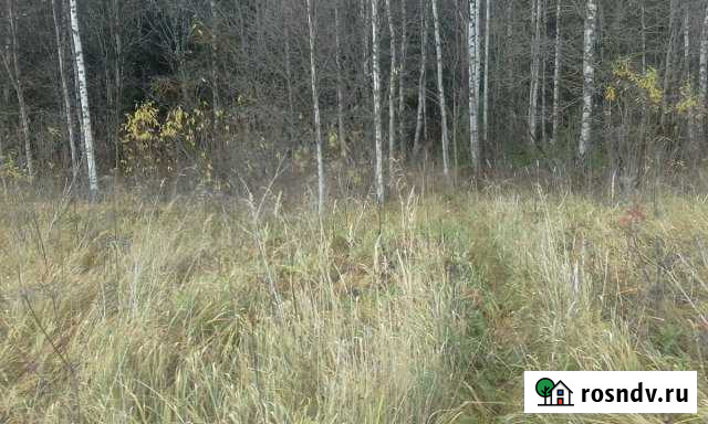 Участок СНТ, ДНП 10 сот. на продажу в Твери Тверь - изображение 1