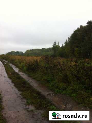 Участок ИЖС 24 сот. на продажу в Шварцевском Шварцевский - изображение 1