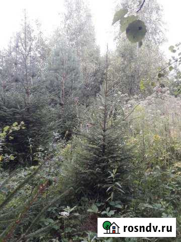 Участок СНТ, ДНП 9 сот. на продажу в Верее Верея - изображение 1