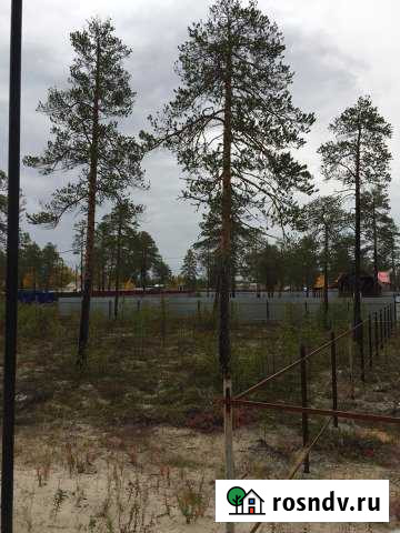 Участок СНТ, ДНП 9 сот. на продажу в Когалыме Когалым - изображение 1