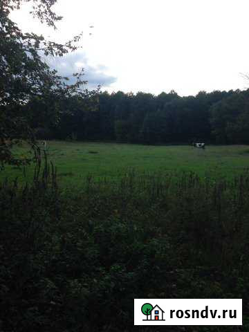 Участок ИЖС 50 сот. на продажу в Старом Осколе Старый Оскол - изображение 1