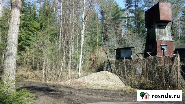 Дача 31 м² на участке 8 сот. на продажу в Пскове Псков - изображение 1