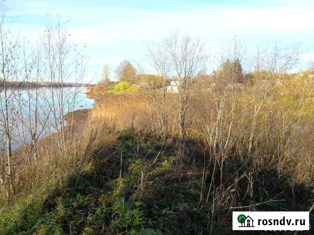 Участок СНТ, ДНП 1200 сот. на продажу в Волхове Волхов - изображение 1