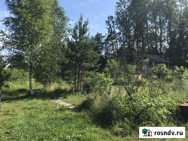 Участок СНТ, ДНП 12 сот. на продажу в Выборге Выборг - изображение 1