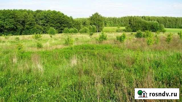 Участок ИЖС 16 сот. на продажу в Коломне Коломна - изображение 1