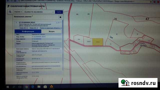 Участок СНТ, ДНП 1000 сот. на продажу в Форносово Форносово - изображение 1