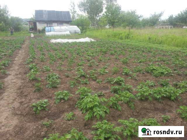 Дача 40 м² на участке 9 сот. на продажу в Путевке Путевка - изображение 1