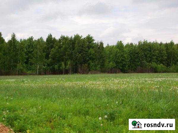 Участок ИЖС 20 сот. на продажу в Буревестнике Буревестник - изображение 1