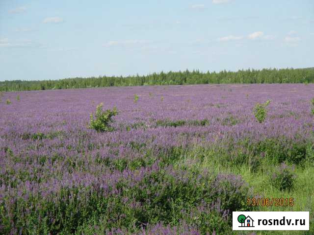 Участок ИЖС 550 сот. на продажу в Спасск-Рязанском Спасск-Рязанский - изображение 1