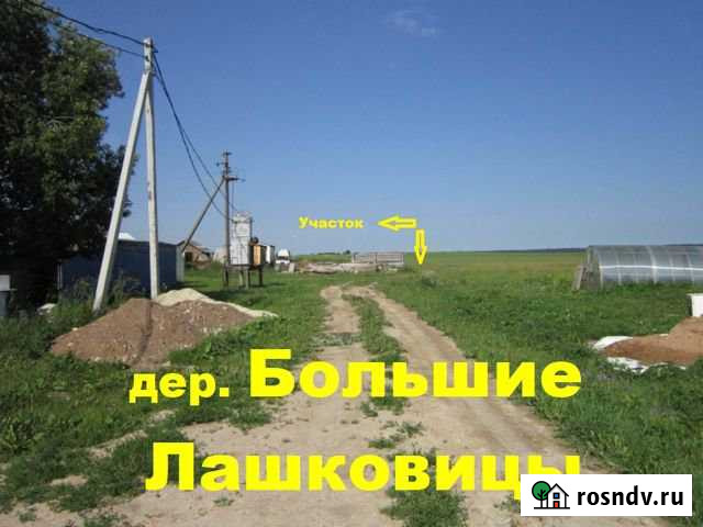 Участок ИЖС 16 сот. на продажу в Бегуницах Бегуницы - изображение 1