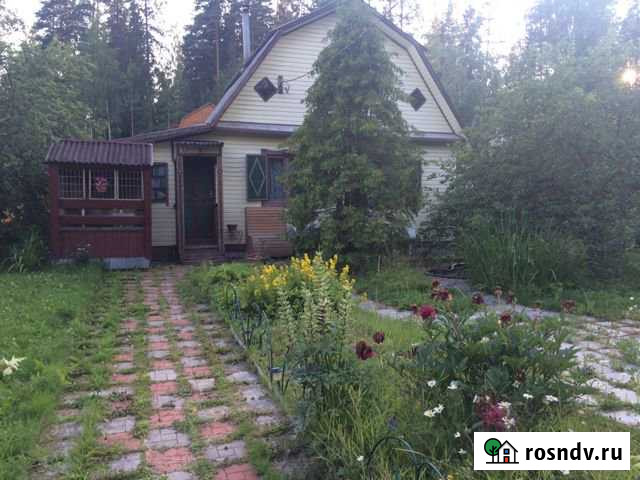 Дача 60 м² на участке 6 сот. на продажу в Выборге Выборг - изображение 1