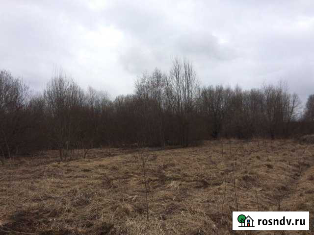 Участок ИЖС 20 сот. на продажу на Лугах Луга - изображение 1