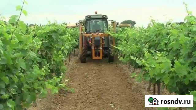 Участок СНТ, ДНП 600 сот. на продажу в Старом Крыме Старый Крым - изображение 1