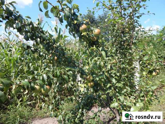 Коттедж 100 м² на участке 14 сот. на продажу в Новомышастовской Новомышастовская - изображение 1