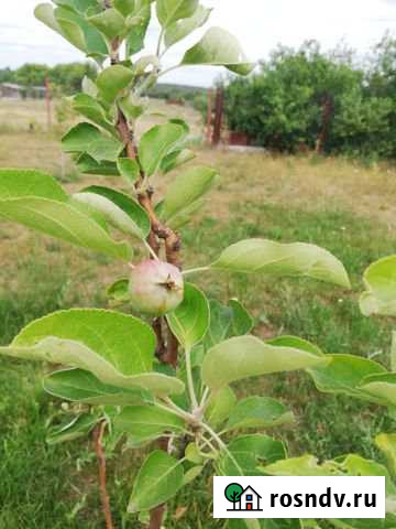 Дача 35 м² на участке 10 сот. на продажу в Авсюнино Авсюнино - изображение 1