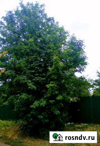 Дом 40 м² на участке 17 сот. на продажу в Ряжске Ряжск - изображение 1