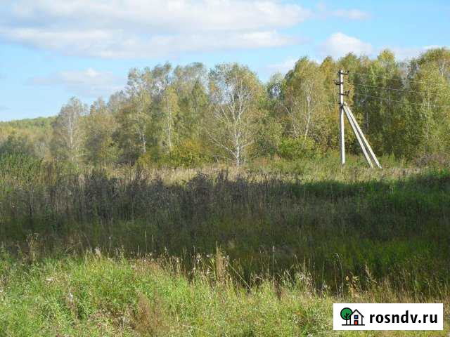 Участок СНТ, ДНП 100 сот. на продажу в Мошково Мошково - изображение 1