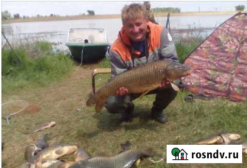 Участок СНТ, ДНП 250 сот. на продажу в Нариманове Нариманов - изображение 1