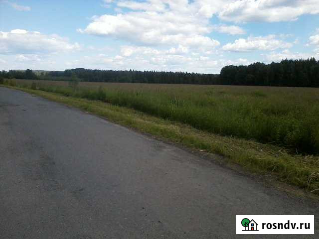 Участок СНТ, ДНП 5551 сот. на продажу в Реже Реж - изображение 1