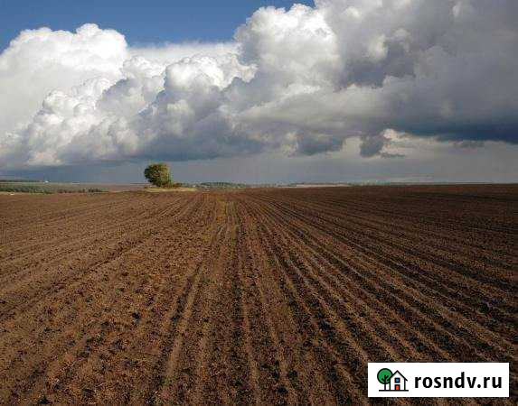 Участок СНТ, ДНП 17438 сот. на продажу в Черноерковской Черноерковская - изображение 1